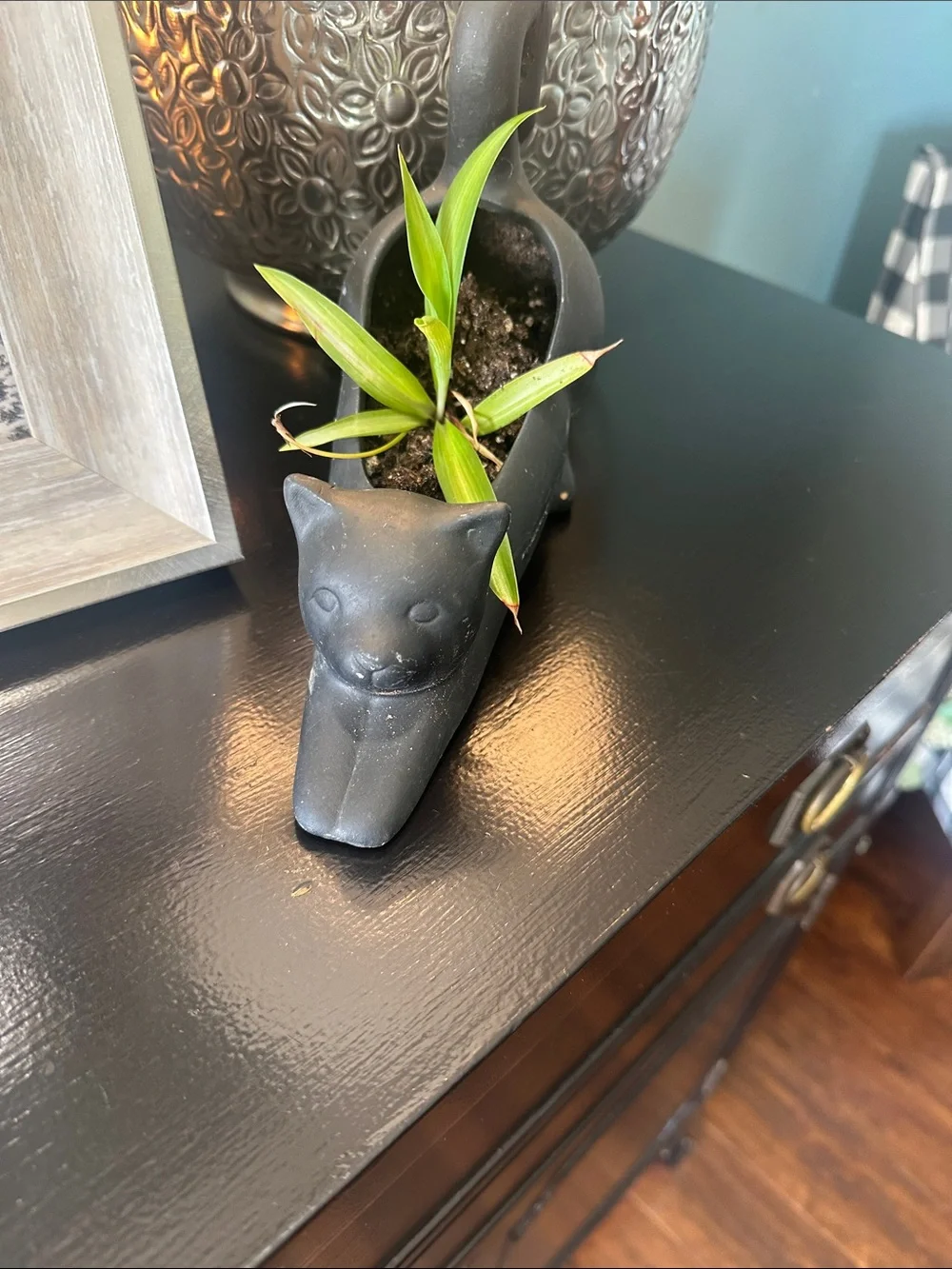SET of TWO Target Black Cat  Stretching Planter Figurine and dog Figurine Set